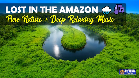 Healing Amazon Light